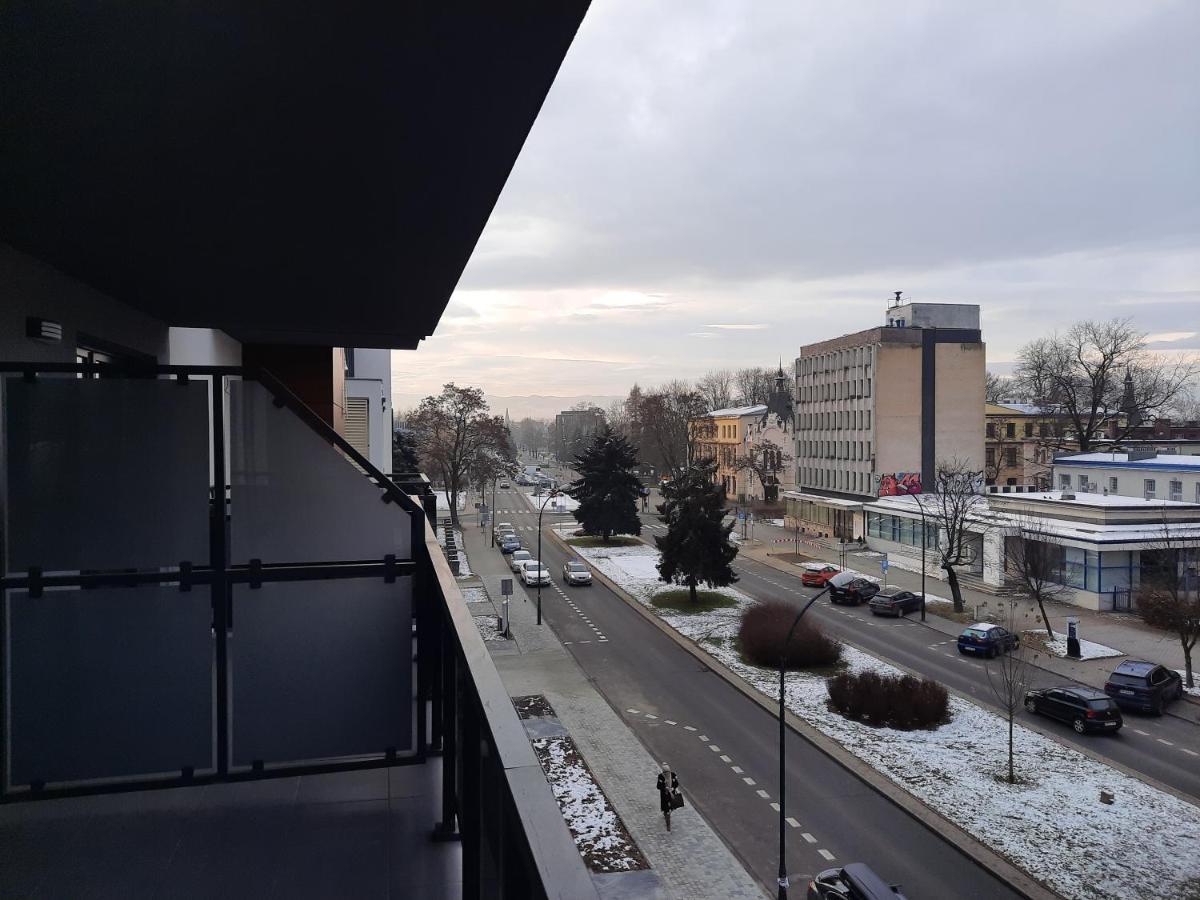 Apartament Przy Plantach Nowy Sacz Ngoại thất bức ảnh